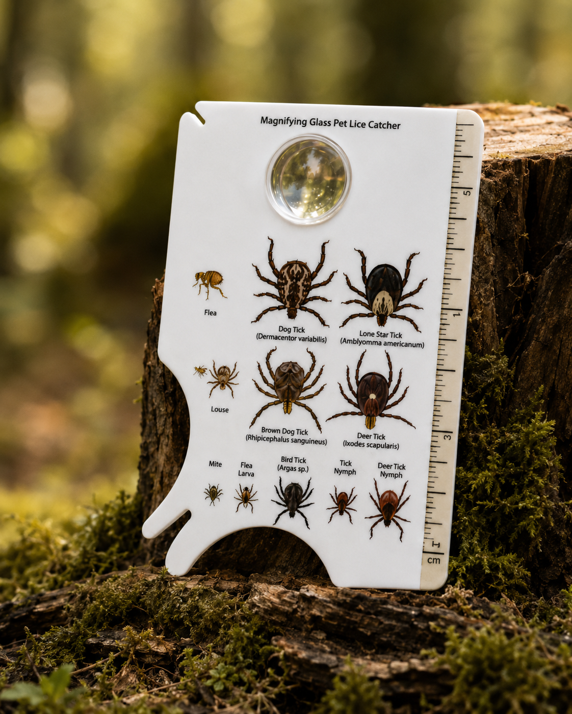 First LoneStar Shield Tick Remover Card
