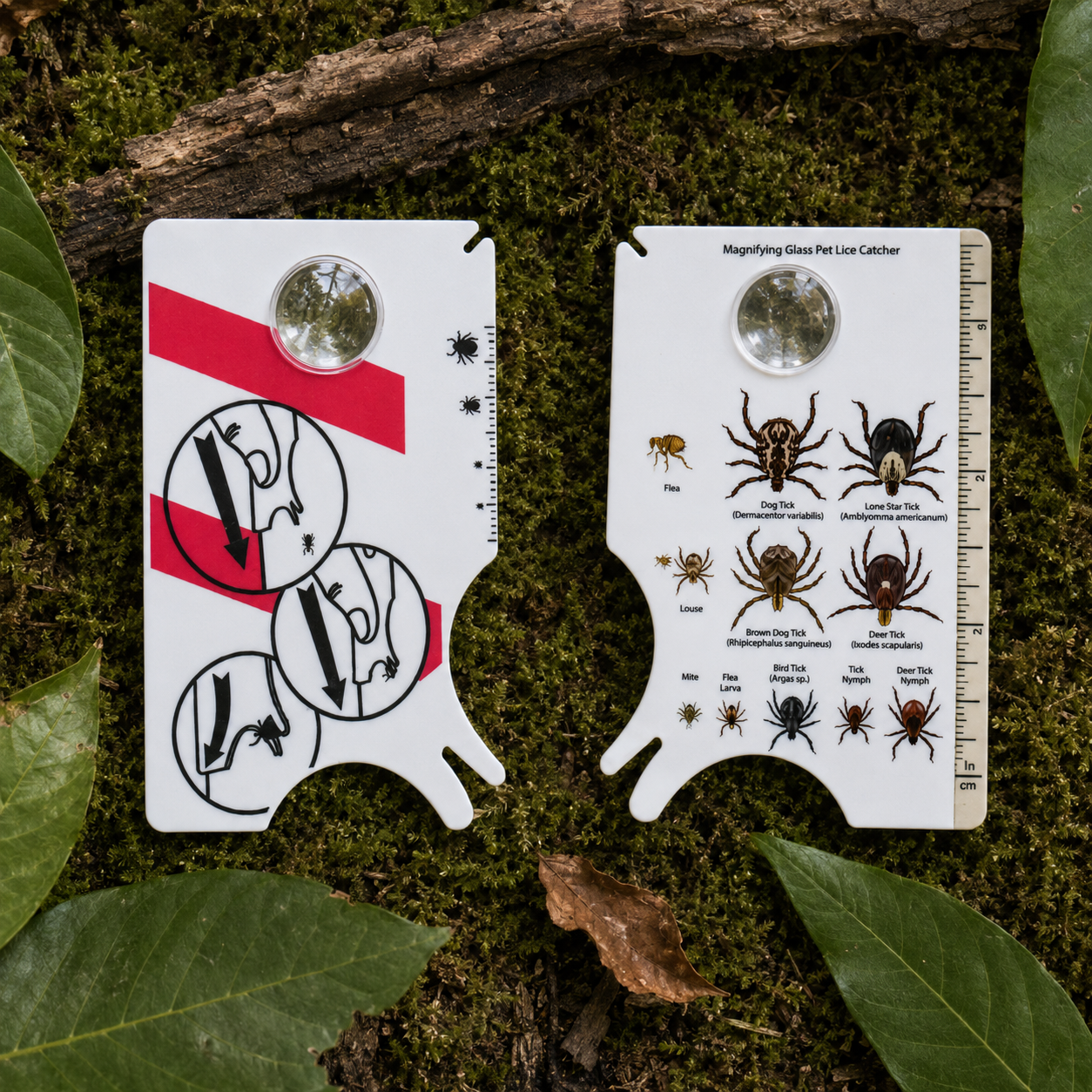 First LoneStar Shield Tick Remover Card
