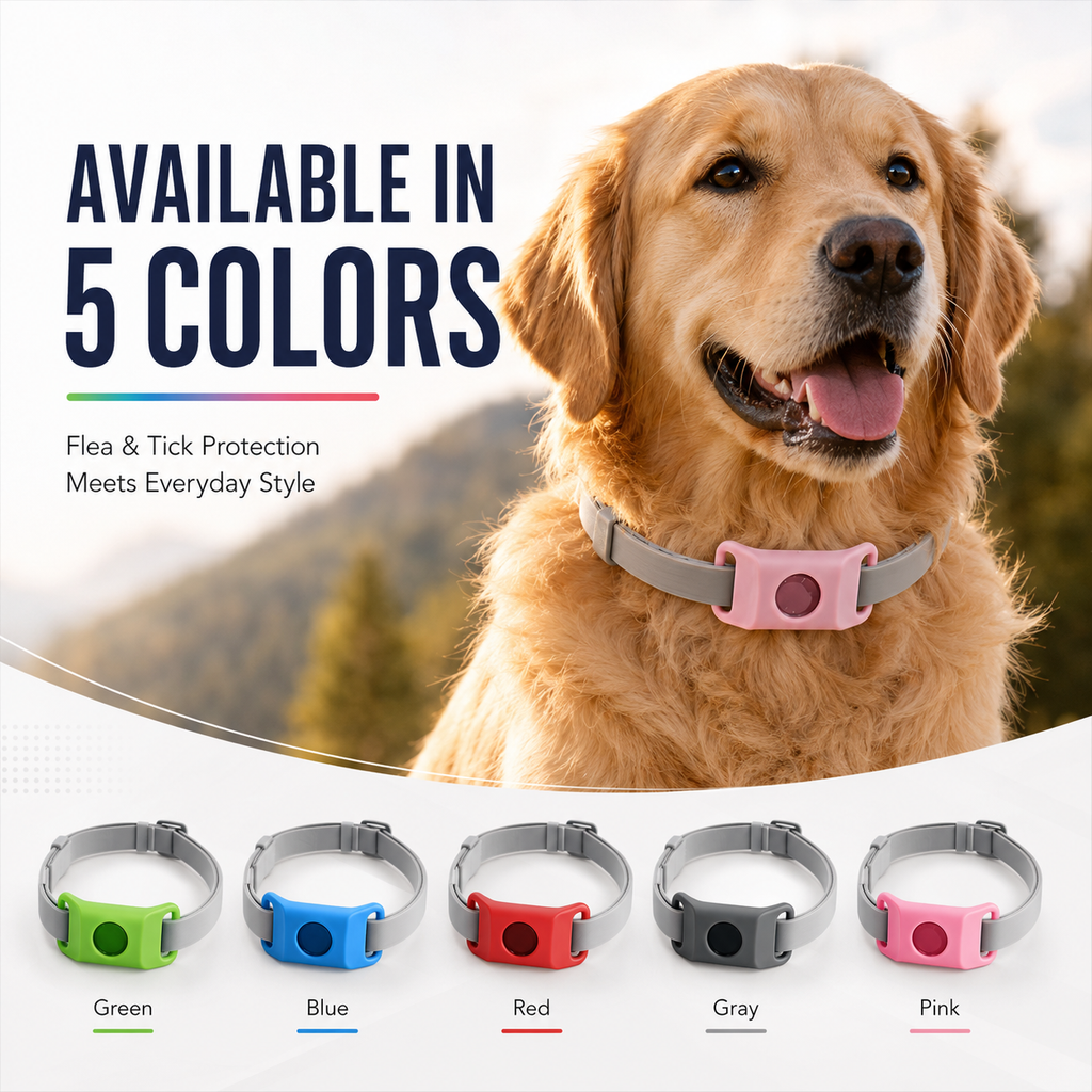 The LoneStar Shield Natural Flea & Tick Protection Collar for Dogs