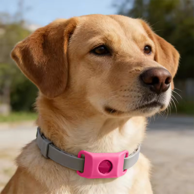 The LoneStar Shield Natural Flea & Tick Protection Collar for Dogs