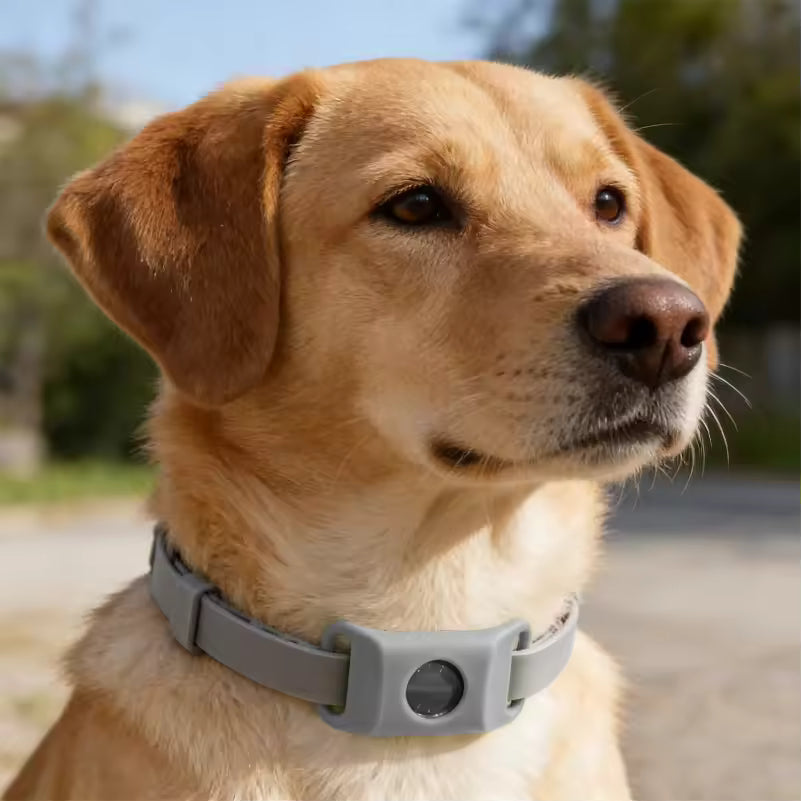 The LoneStar Shield Natural Flea & Tick Protection Collar for Dogs
